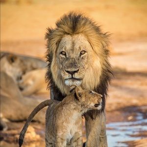 Meet your Posher, Keith